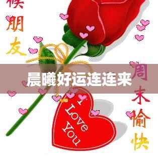 晨曦好运连连来