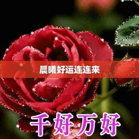 晨曦好运连连来