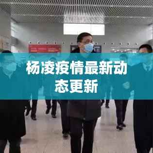杨凌疫情最新动态更新