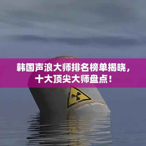 韩国声浪大师排名榜单揭晓,十大顶尖大师盘点!