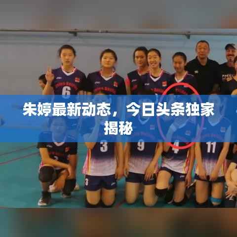 朱婷最新动态，今日头条独家揭秘