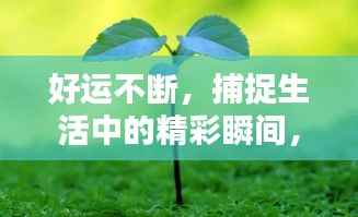 好运不断，捕捉生活中的精彩瞬间，留住美好回忆
