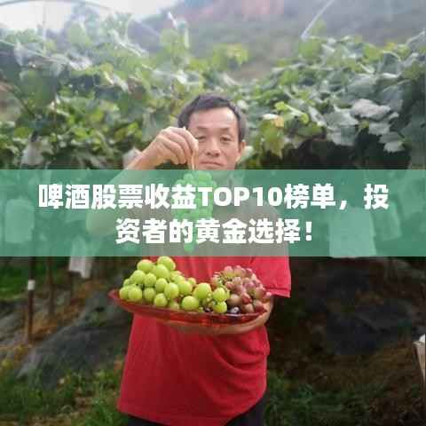 啤酒股票收益TOP10榜单，投资者的黄金选择！