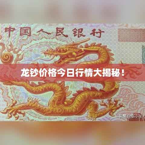 龙钞价格今日行情大揭秘！