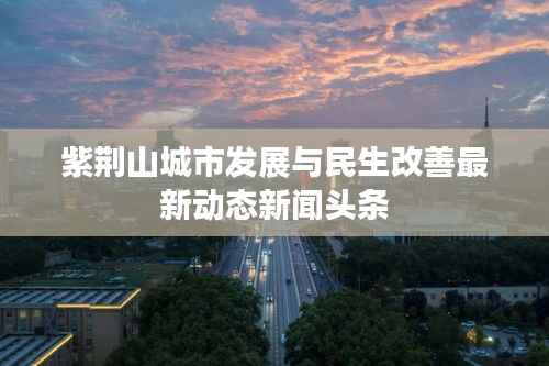 紫荆山城市发展与民生改善最新动态新闻头条