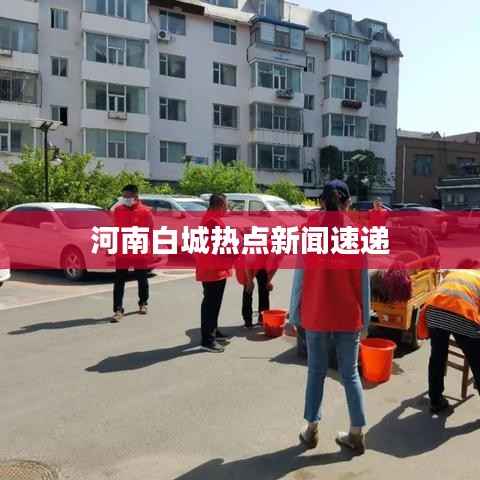河南白城热点新闻速递