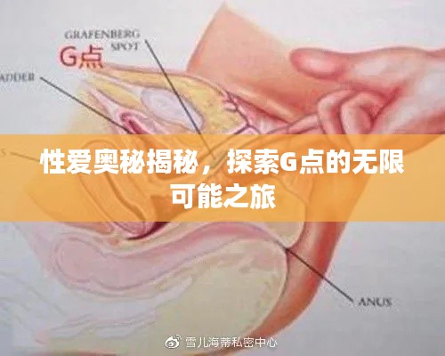 性爱奥秘揭秘，探索G点的无限可能之旅