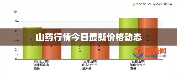 山药行情今日最新价格动态
