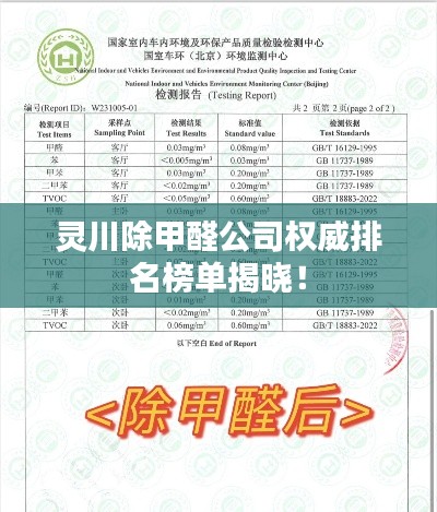 灵川除甲醛公司权威排名榜单揭晓!