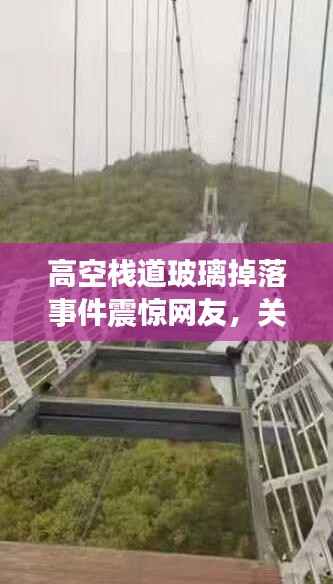 高空栈道玻璃掉落事件震惊网友，关注背后的安全警示