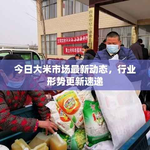 今日大米市场最新动态，行业形势更新速递