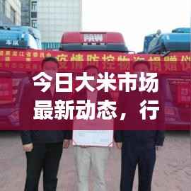 今日大米市场最新动态,行业形势更新速递