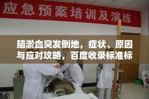 脑淤血突发倒地,症状、原因与应对攻略,百度收录标准标题