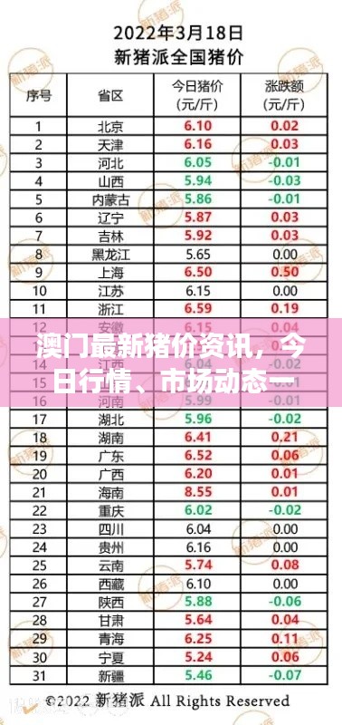 澳门最新猪价资讯，今日行情、市场动态一网打尽