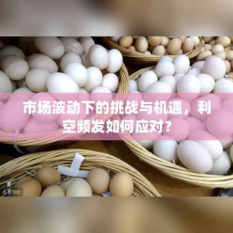 市场波动下的挑战与机遇，利空频发如何应对？