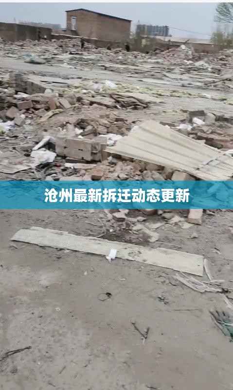 沧州最新拆迁动态更新