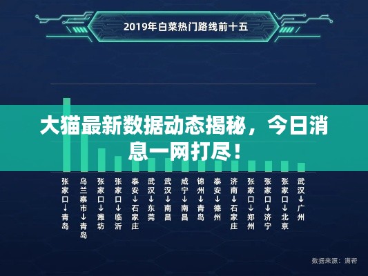 大猫最新数据动态揭秘,今日消息一网打尽!