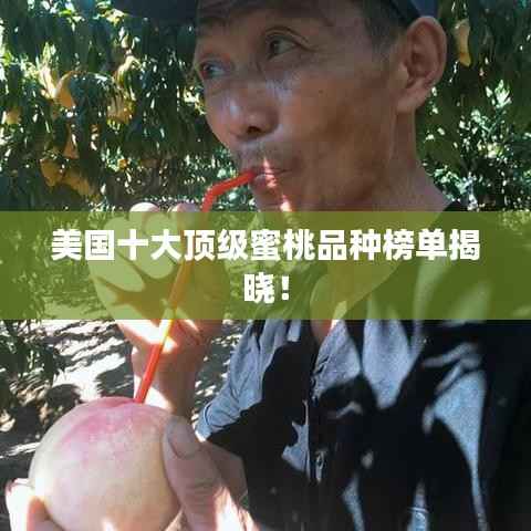 美国十大顶级蜜桃品种榜单揭晓！