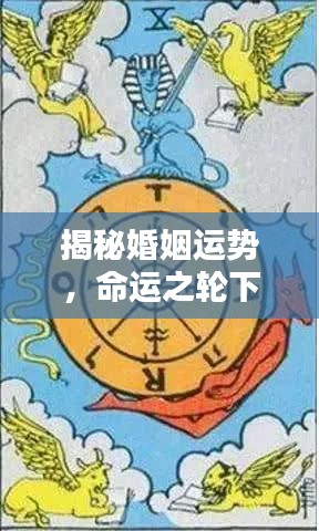 揭秘婚姻运势，命运之轮下的幸福契机探索