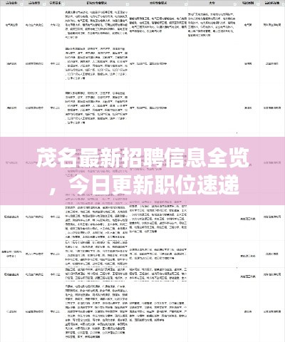 茂名最新招聘信息全览，今日更新职位速递