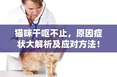 猫咪干呕不止，原因症状大解析及应对方法！
