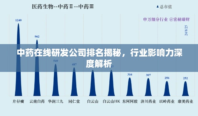 中药在线研发公司排名揭秘，行业影响力深度解析