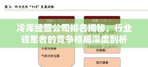 冷库经营公司排名揭秘，行业领军者的竞争格局深度剖析