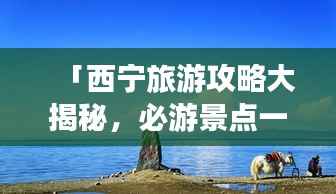 「西宁旅游攻略大揭秘,必游景点一网打尽!」