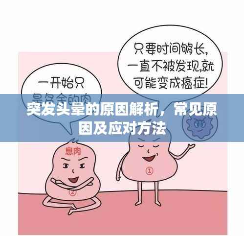 突发头晕的原因解析，常见原因及应对方法