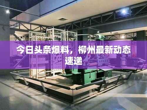 今日头条爆料,柳州最新动态速递