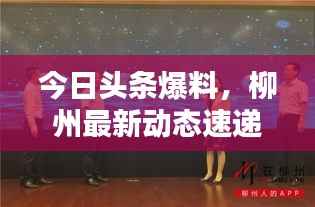 今日头条爆料,柳州最新动态速递