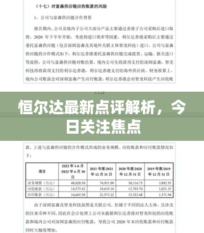 恒尔达最新点评解析,今日关注焦点