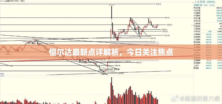 恒尔达最新点评解析,今日关注焦点