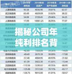 揭秘公司年纯利排名背后的盈利能力秘密