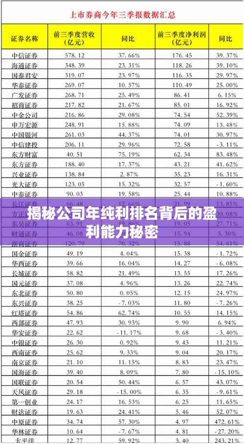 揭秘公司年纯利排名背后的盈利能力秘密