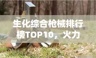 生化综合枪械排行榜TOP10,火力与性能的巅峰对决