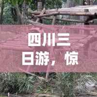 四川三日游，惊艳你的旅行攻略！