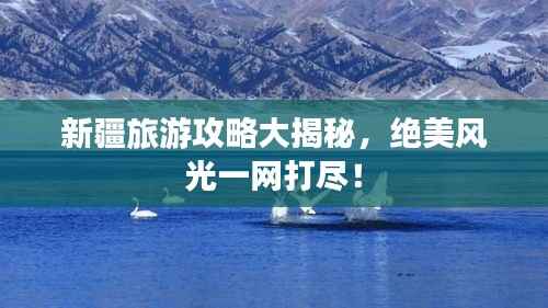 新疆旅游攻略大揭秘，绝美风光一网打尽！