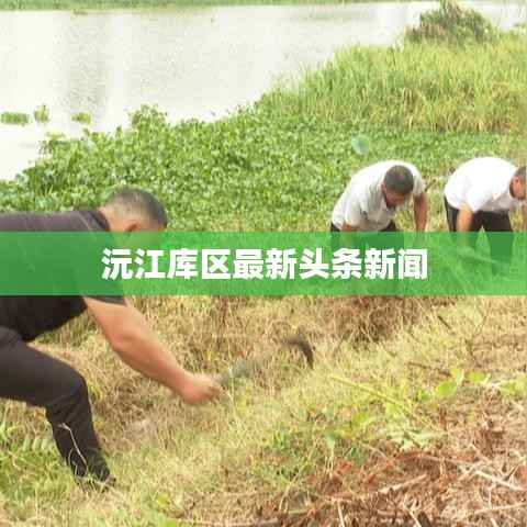 沅江库区最新头条新闻