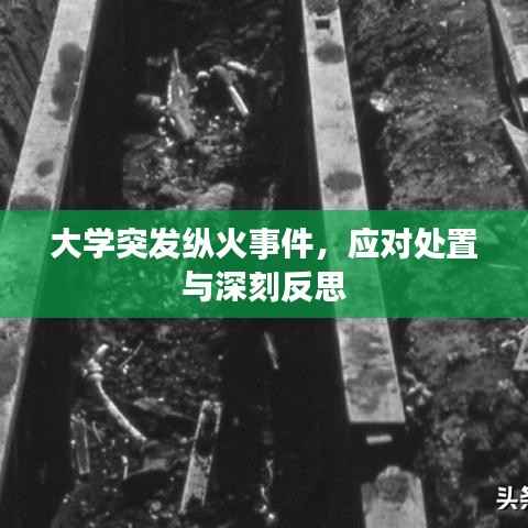 大学突发纵火事件，应对处置与深刻反思