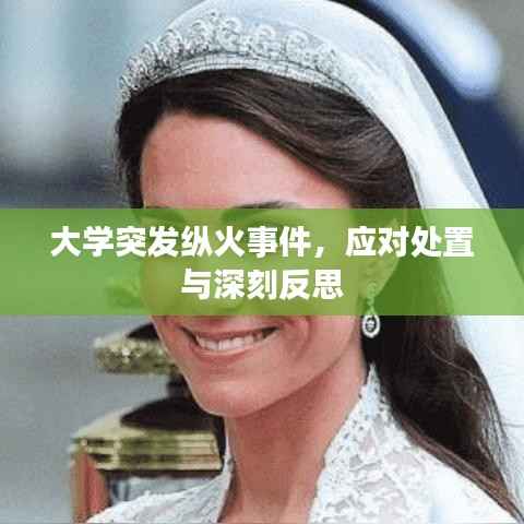大学突发纵火事件,应对处置与深刻反思