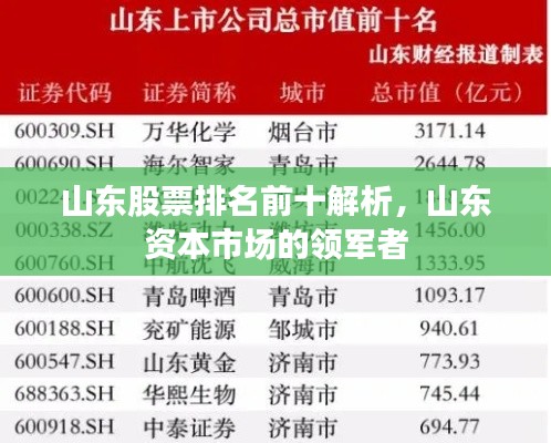 山东股票排名前十解析,山东资本市场的领军者