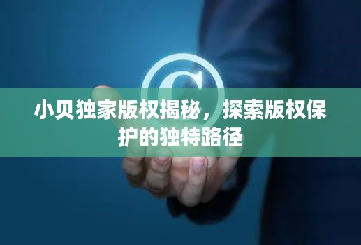 小贝独家版权揭秘，探索版权保护的独特路径