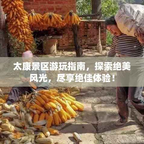 太康景区游玩指南,探索绝美风光,尽享绝佳体验!