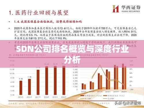 SDN公司排名概览与深度行业分析