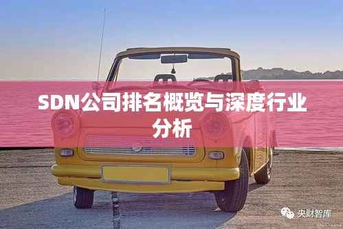 SDN公司排名概览与深度行业分析