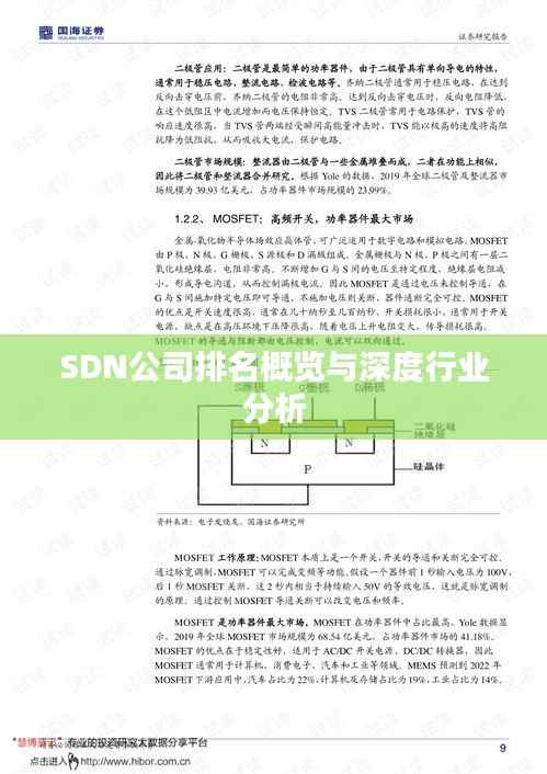 SDN公司排名概览与深度行业分析