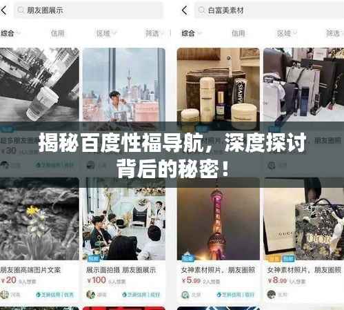 揭秘百度性福导航,深度探讨背后的秘密!