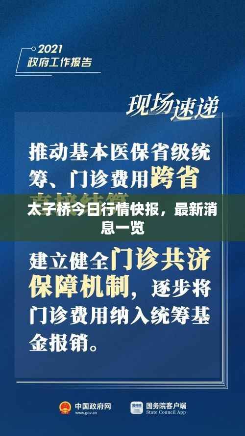 太子桥今日行情快报，最新消息一览