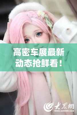 高密车展最新动态抢鲜看!